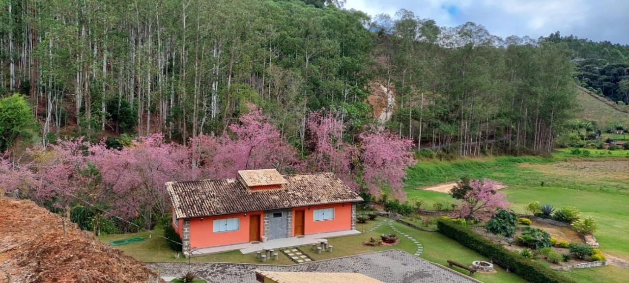 Cabanas Eco Das Montanhas 多明戈斯马丁斯 外观 照片